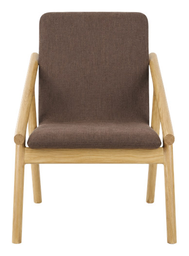 Arlo lounge chair in brown, product view