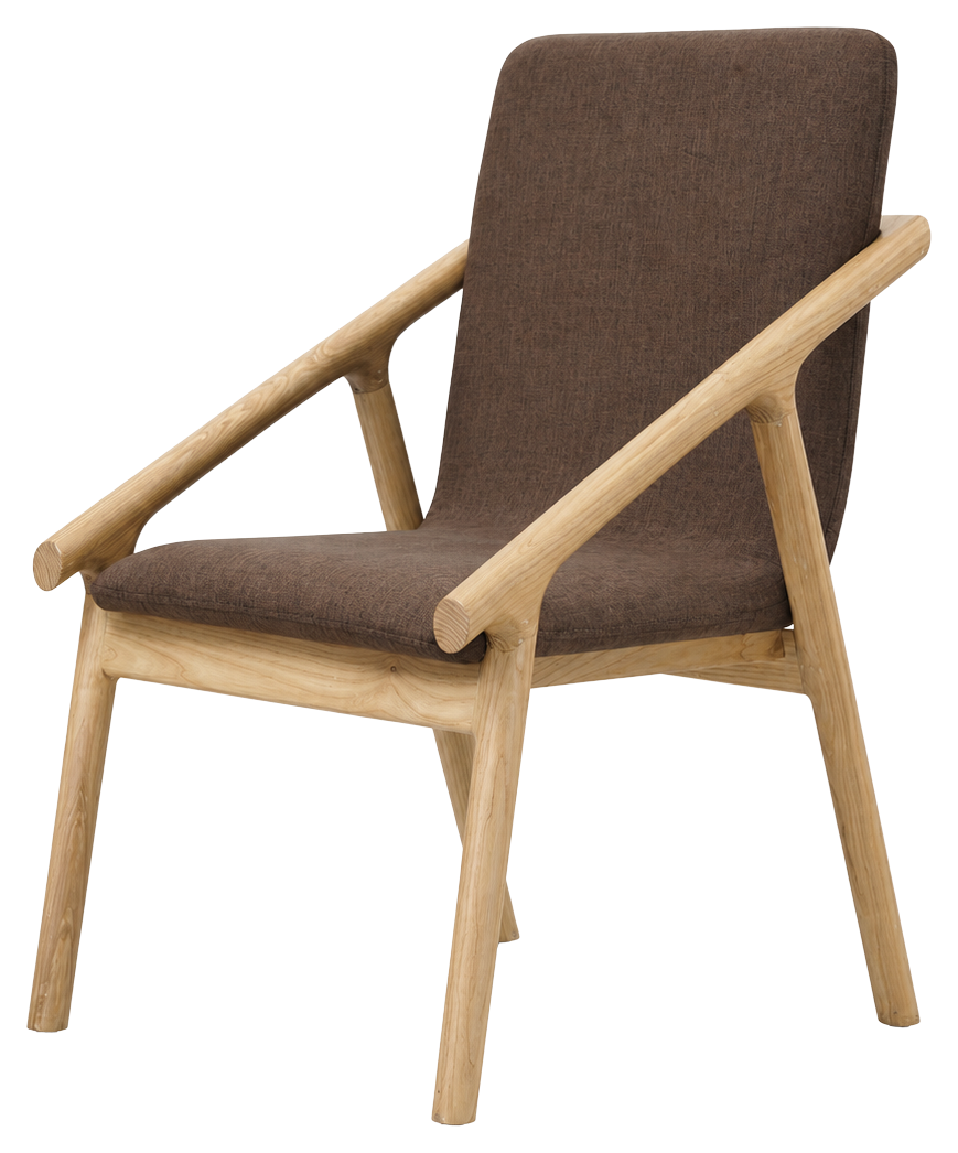 Arlo lounge chair in brown, product view