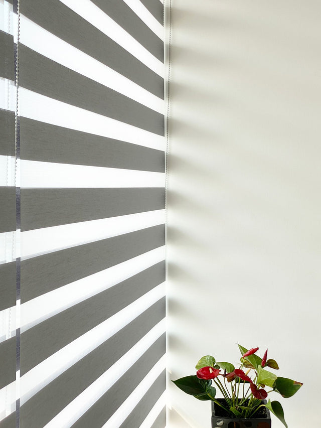 Zebra (day-night) blinds — stock placeholder, pending real Liro photography